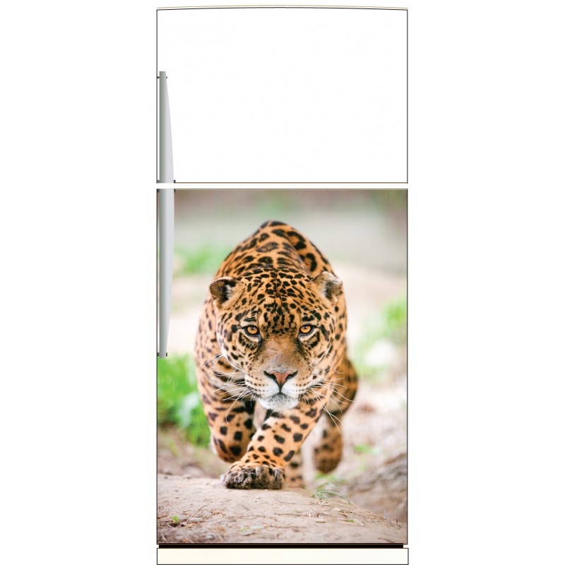 Sticker frigo Jaguar