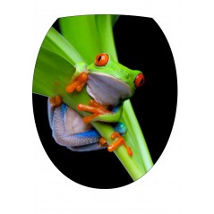 Stickers WC, stickers abattant de WC Grenouille