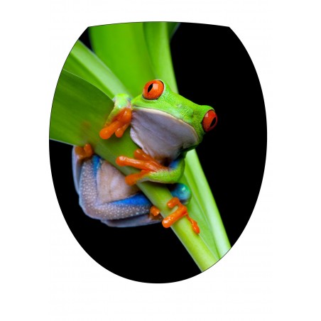 Stickers WC, stickers abattant de WC Grenouille