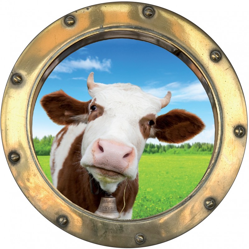 Stickers hublot trompe l'oeil Vache