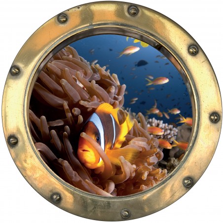 Sticker hublot trompe L'oeil Poissons exotique