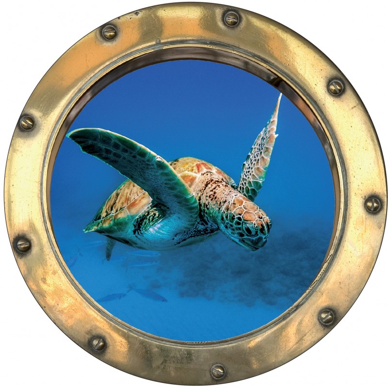 Sticker hublot trompe L'oeil tortue de mer