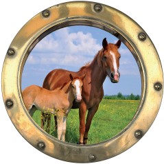 Sticker hublot trompe L'oeil Cheval et Poney