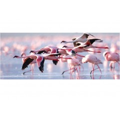 Stickers tête de lit flamand rose