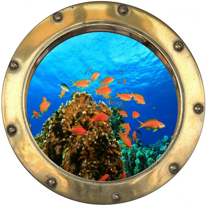 Stickers hublot trompe L'oeil Poissons Rouge