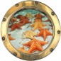 Stickers hublot trompe L'oeil Etoile de mer