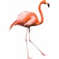 Sticker Flamand rose