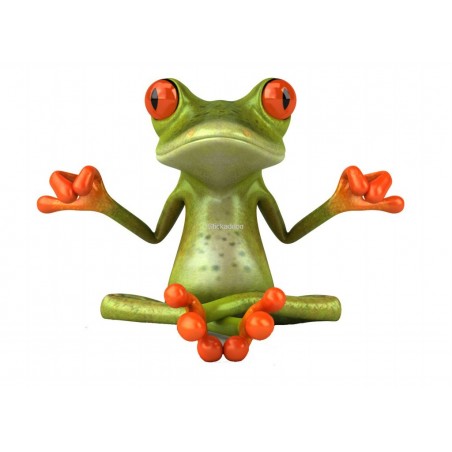 Sticker Grenouille Zen