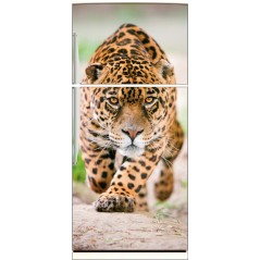 Sticker frigo électroménager déco cuisine Jaguar 70x170cm