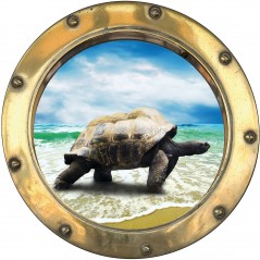 Sticker hublot trompe l'oeil Tortue