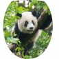 Sticker WC, sticker pour abattant de WC Panda