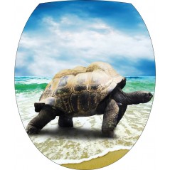 Sticker WC, sticker pour abattant de WC Tortue