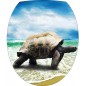 Sticker WC, sticker pour abattant de WC Tortue